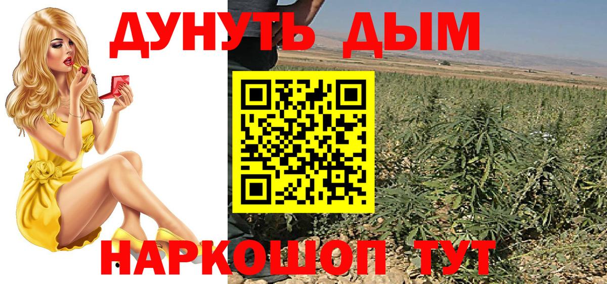 Бошки марихуана план  Шишки марихуана Bruce Banner  Каннабис Amnesia  Новочеркасск  Вход с VPN 